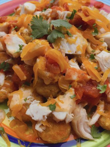 Air Fryer Buffalo Chicken Totchos