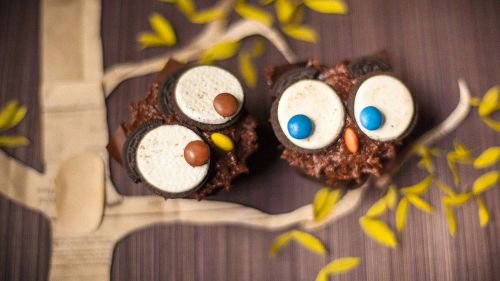 Owl Cupcakes