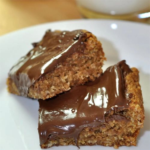 Oatmeal Chocolate Goodness Bars