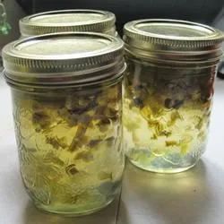 Homemade Jalapeno Pepper Jelly