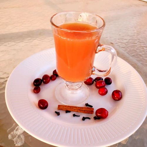 Warm Cranberry Orange Spice Punch