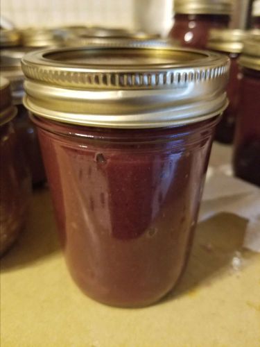 Blueberry Apple Butter