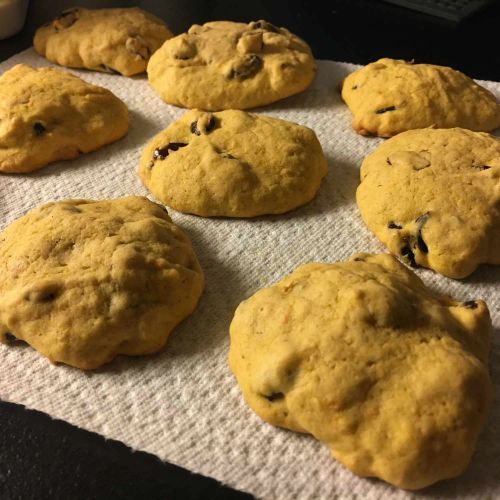 Cranberry Pumpkin Cookies