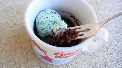 Chocolate Ice Cream Mug Cake