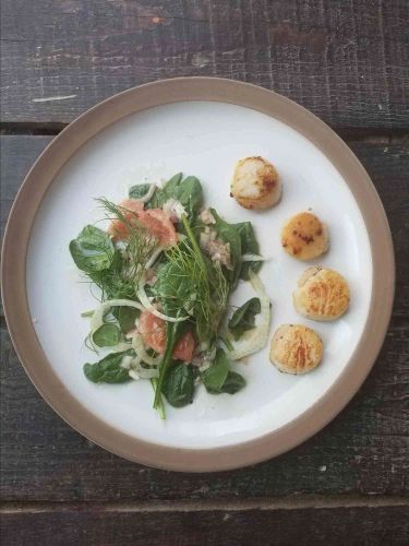 Seared Scallops with Grapefruit-Fennel Salad