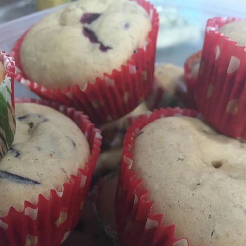 Best Lactose Free Blueberry Muffins