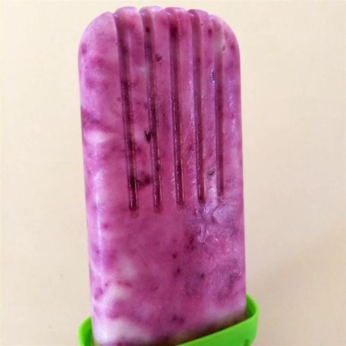 Fresh Blackberries and Cream Ice Pops