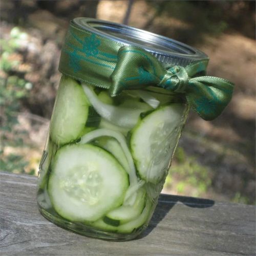 Mona's Easy Refrigerator Pickles