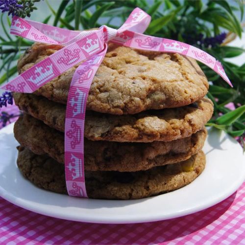 Graham Cracker Cookies