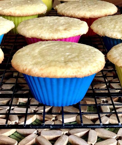 Vanilla Cupcakes