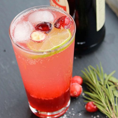 Holiday Mule Mocktail