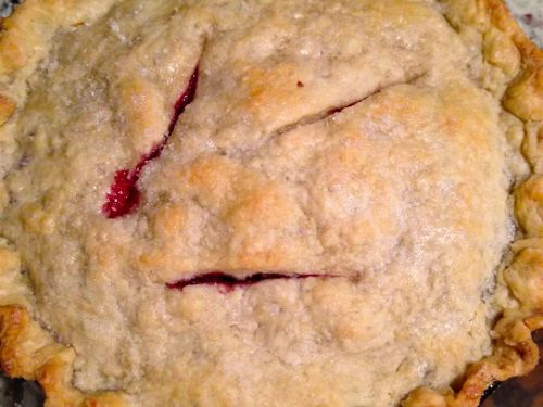 Saskatoon Berry (Serviceberry) Pie