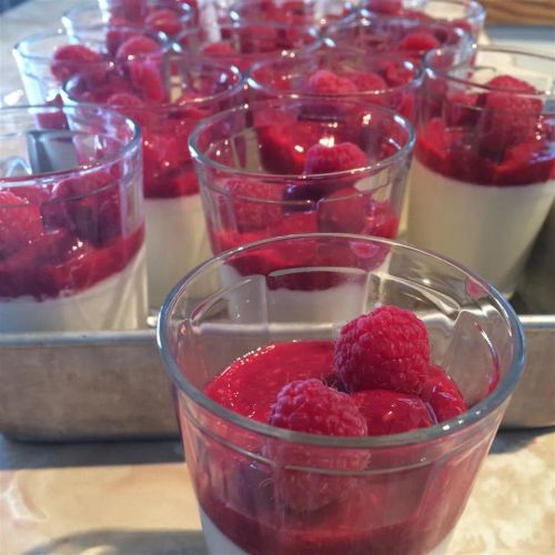 Lemon Panna Cotta With Raspberry-Orange Sauce