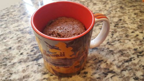 Paleo Chocolate Lover's Mug Cake