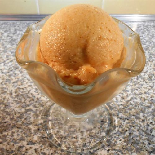 Homemade Pumpkin Frozen Yogurt