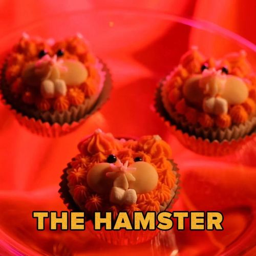 Hamster Cupcakes