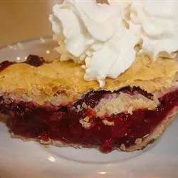 Blackberry-Chocolate Chip Pie