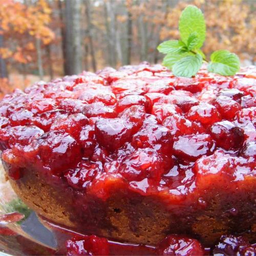 Cranberry Upside-Down Sour Cream Cake