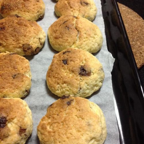 Chocolate Chip and Cranberry Scones