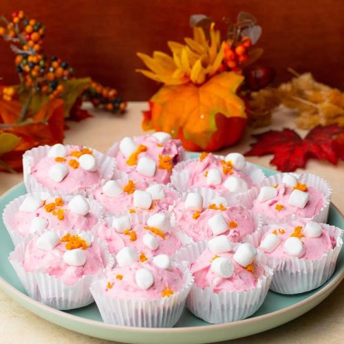 Frosty Cranberry Marshmallow Bites