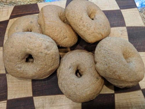 Whole Wheat Bagels