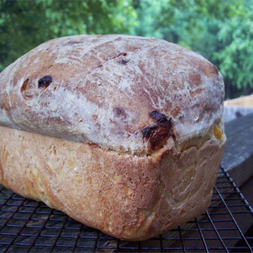 Apricot Oat Bread