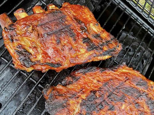 Southern Grilled Barbecued Ribs