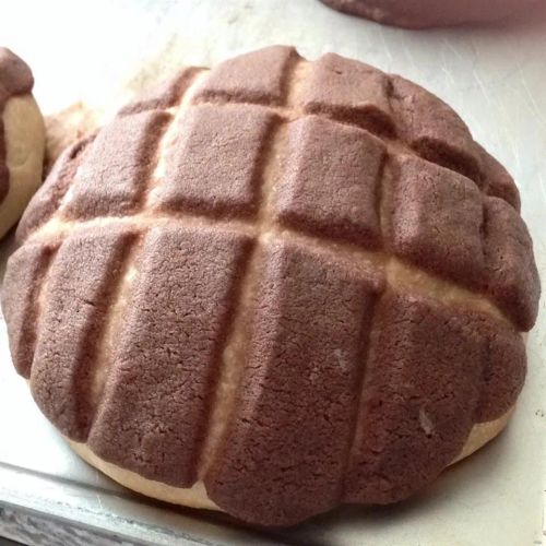 Vanilla and Chocolate Conchas