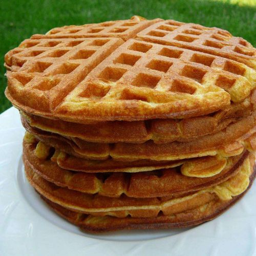 Rich Yogurt Waffles