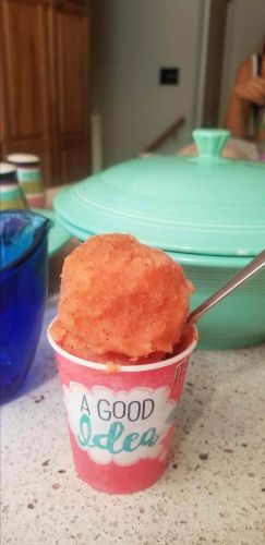 Mexican-Inspired Watermelon Sorbet (Nieve de Sandia)