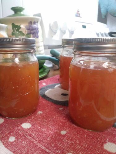 Honey Orange Marmalade