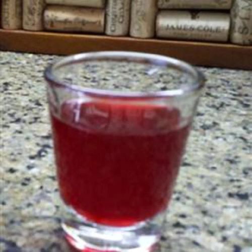 Homemade Cranberry Liqueur