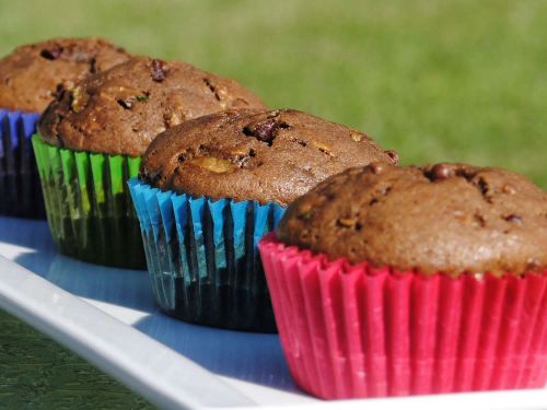 Chocolate Zucchini Muffins