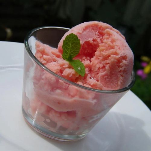 Watermelon Sherbet