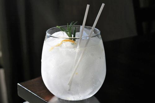 Salty Lemon Gin and Tonic