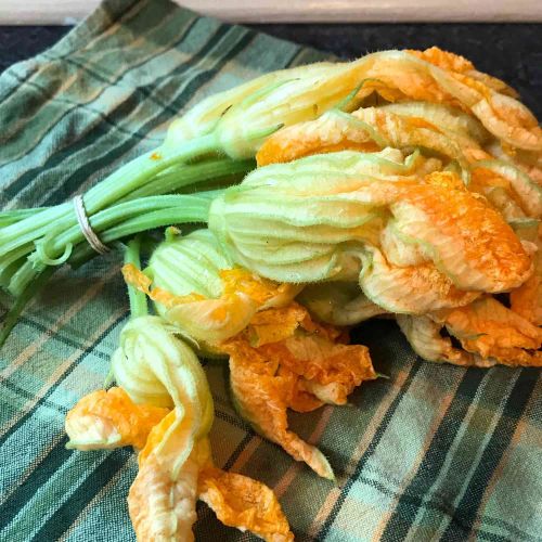 Fried Zucchini Flowers