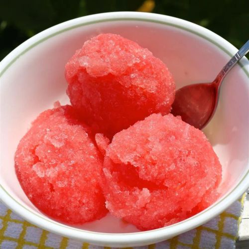 Simple Watermelon Sorbet