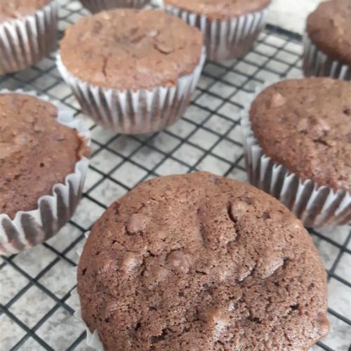 Fudgy Chocolate Chip Muffins