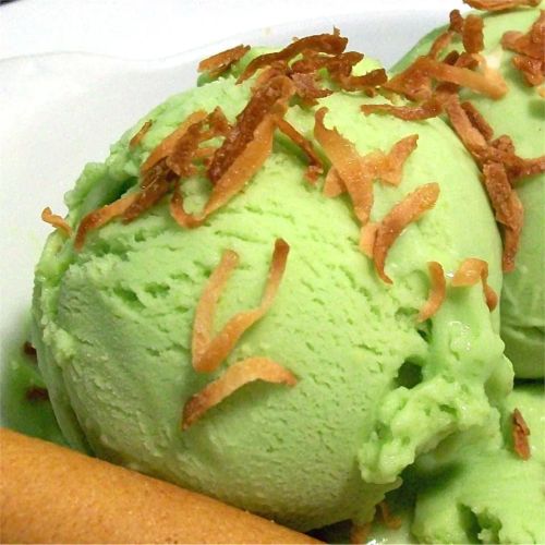 Coconut-Avocado Ice Cream