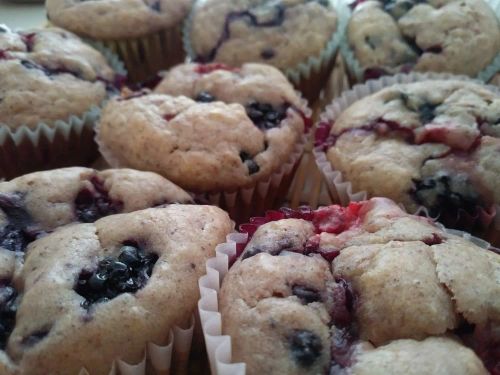 Wild Blackberry Muffins