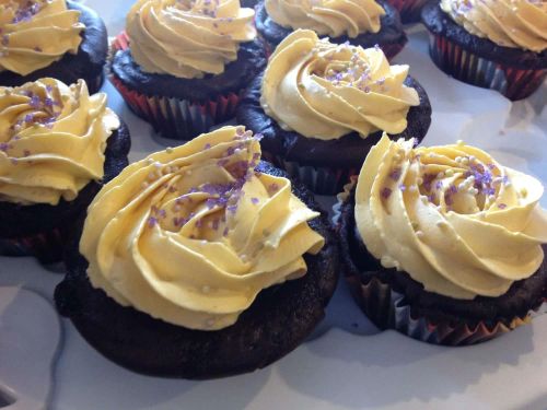 Vegan Chocolate Cupcakes with Vanilla Frosting