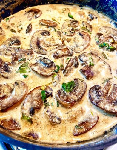 Easy Creamy Mushroom Stew