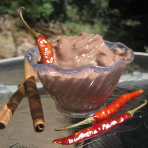 Mexican Chocolate Frozen Yogurt