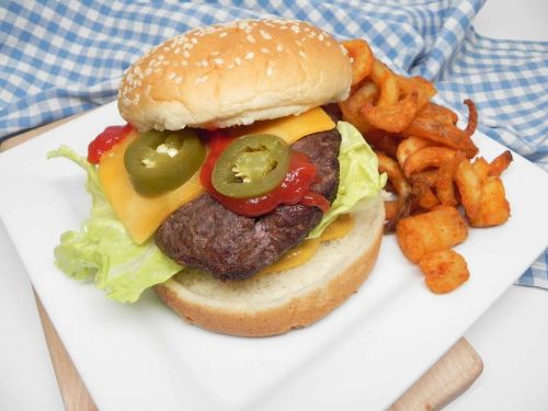 Air Fryer Venison Burgers