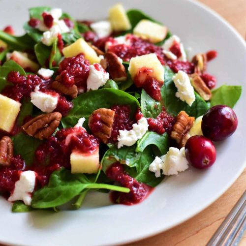 Fall Salad with Cranberry Vinaigrette