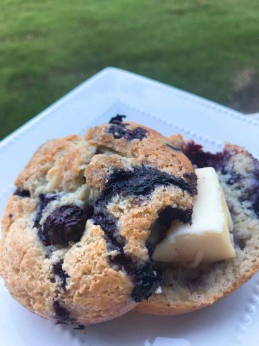 Jumbo Sour Cream Blueberry Muffins