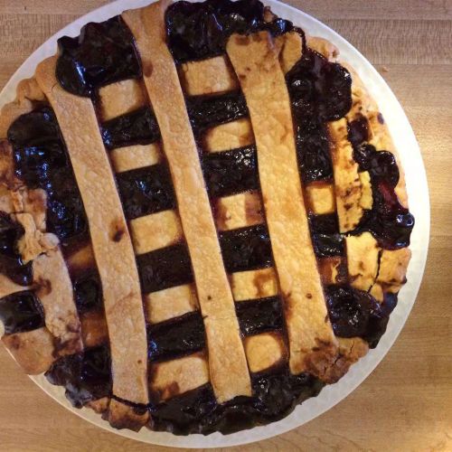 Concord Grape Pie III