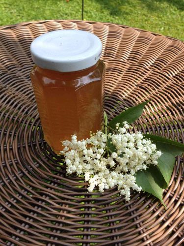 Elderflower Apple Jelly