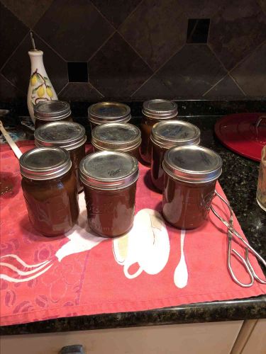 Rhubarb Barbeque Sauce