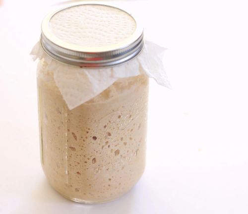 Sourdough Starter II